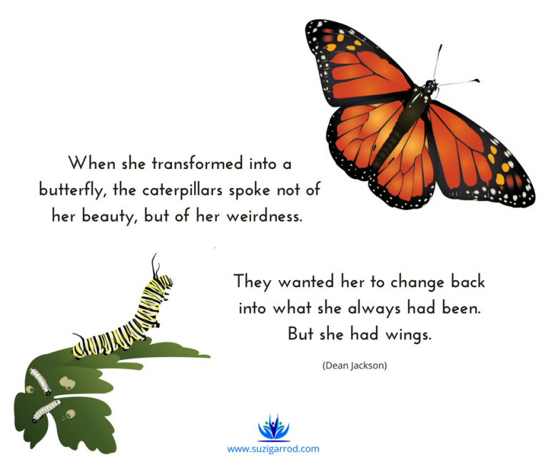 Spread Your Wings and Fly in the Direction of Your Dreams Suzi Garrod